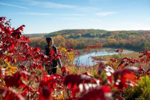 21 Taman Negara Bagian Minnesota yang Luar Biasa berdasarkan Wilayah 