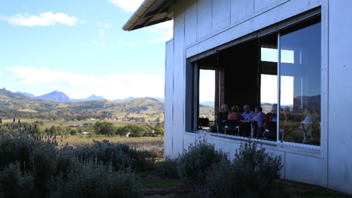 Bersantai di kebun anggur:temukan kilang anggur terbaik Brisbane 