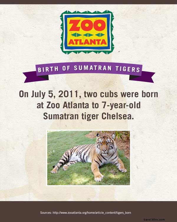 ショーのスター：赤ちゃん動物園の動物 