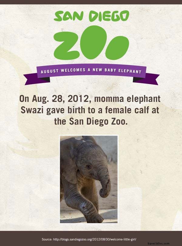 Stelle dello spettacolo:Baby Zoo Animals 