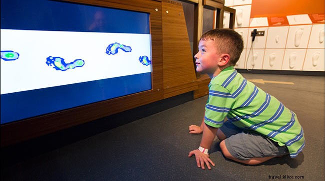 Exhibiciones imperdibles para niños en el Museo de Ciencias de Boston 