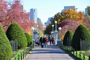 Beyond Fall Dedaunan:Hal yang Dapat Dilakukan di Boston pada Musim Gugur 