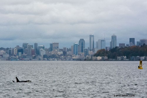 Una visita obligada en Seattle está a solo un paseo en bote 