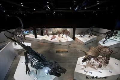 Musée des sciences naturelles de Houston avec le célèbre Jurassic James 