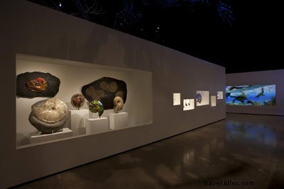 Museu de Ciências Naturais de Houston com o aclamado Jurassic James 