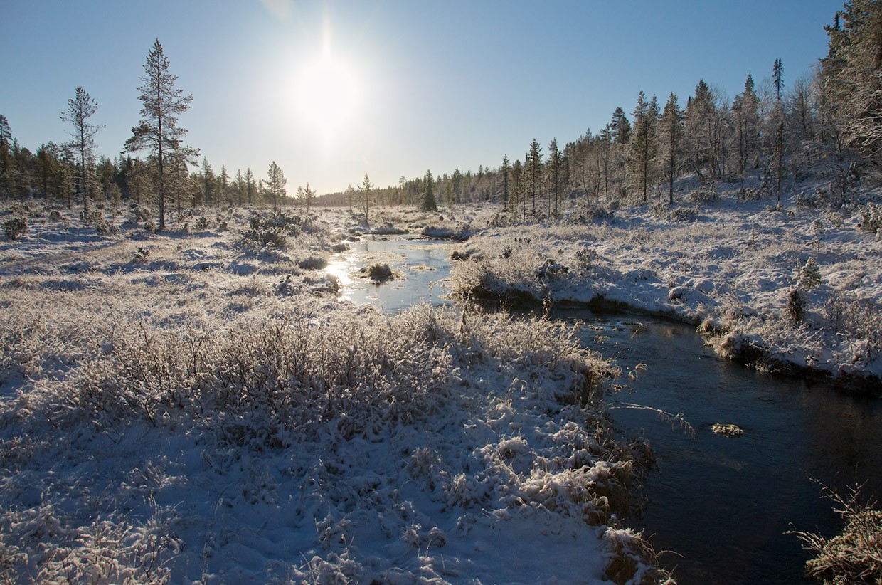 Parc national Urho Kekkonen 