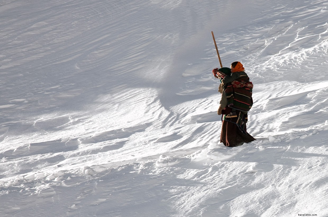 Le projet des âmes nomades 