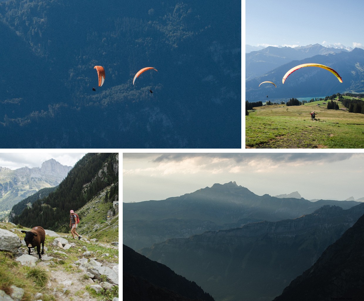 Bernese Oberland:Puncak ke Laut 