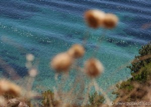 Sporades :un excellent choix dans la mer Égée 