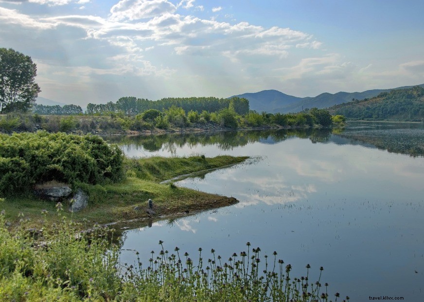 Observation des oiseaux en Grèce :histoires d amour sur le lac Kerkini 