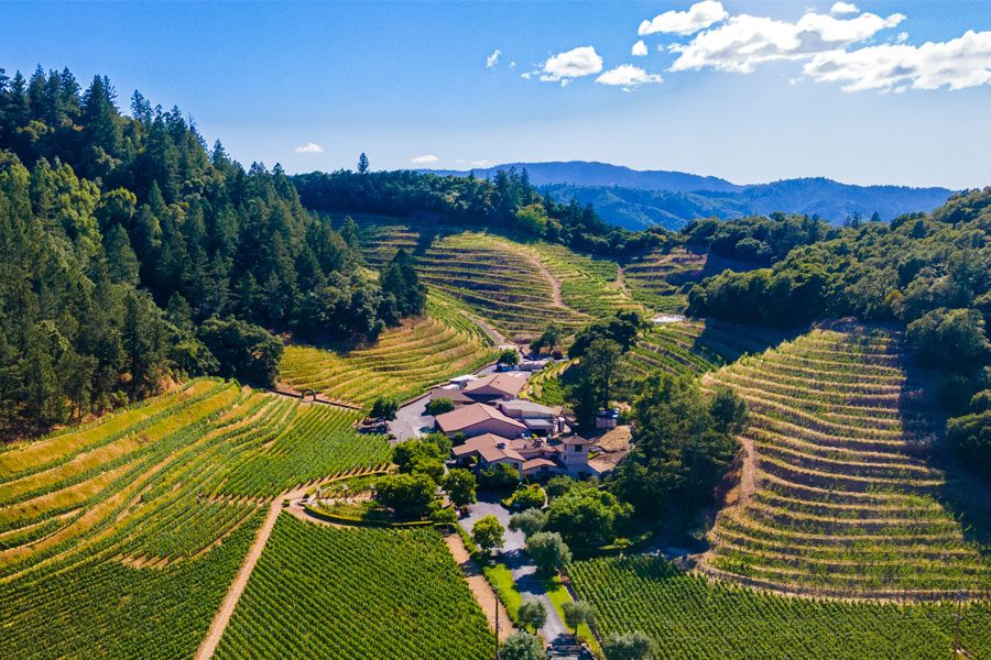 Les 12 meilleurs vignobles de Napa Valley à visiter maintenant 