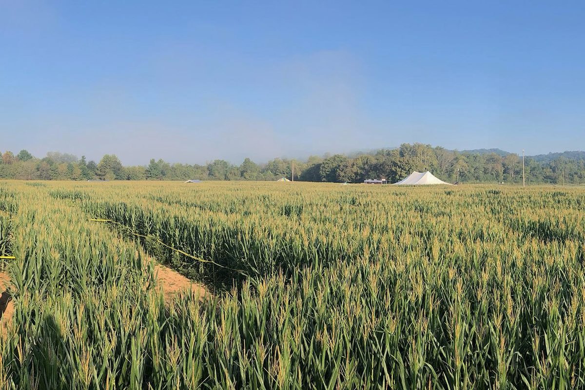 Tambalan Labu Terbaik di Setiap Negara Bagian