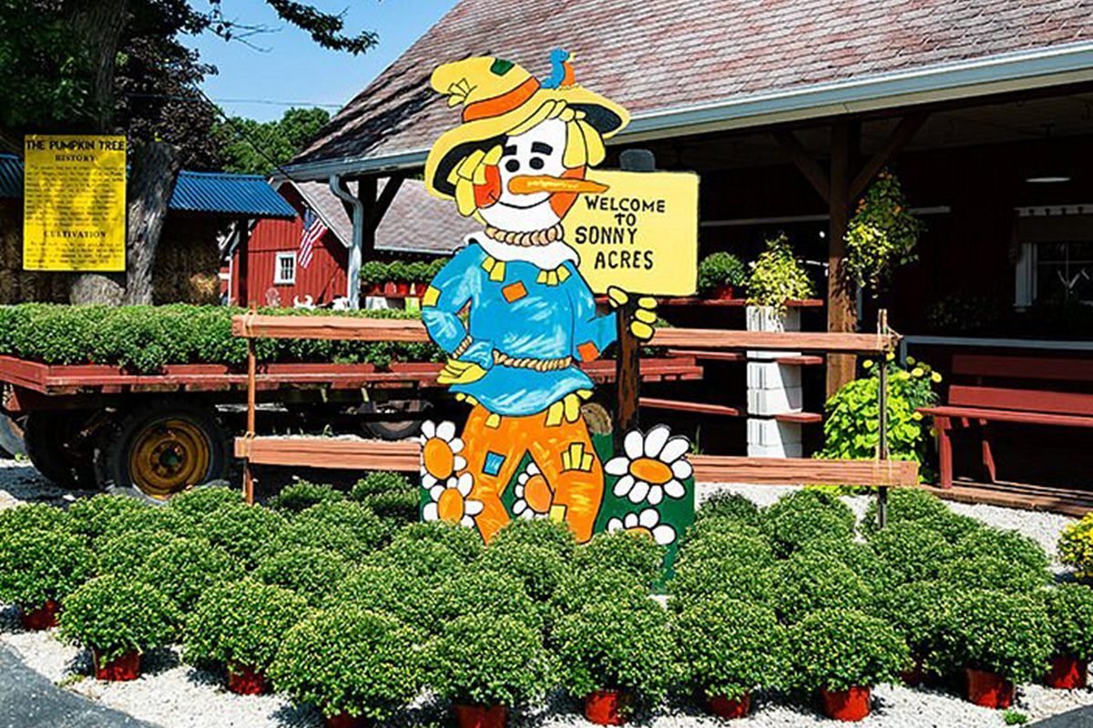 Tambalan Labu Terbaik di Setiap Negara Bagian