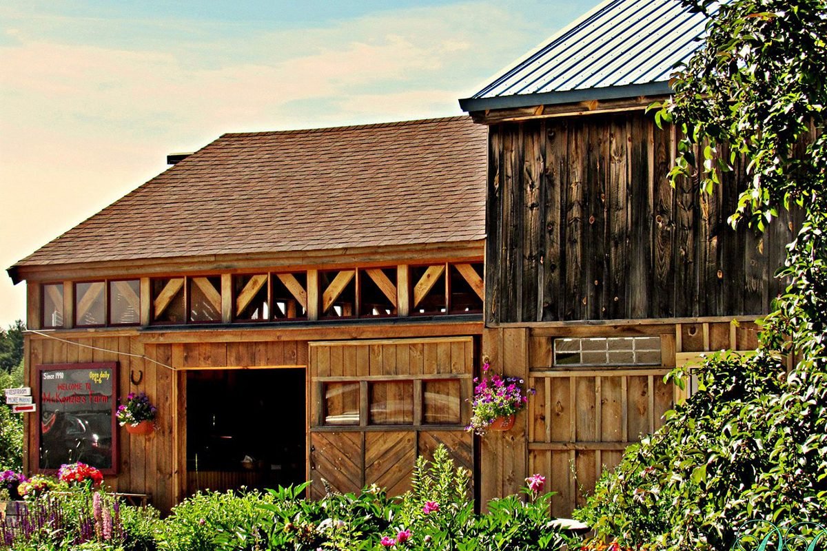 Tambalan Labu Terbaik di Setiap Negara Bagian