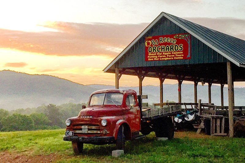El mejor lugar para recoger manzanas en todos los estados