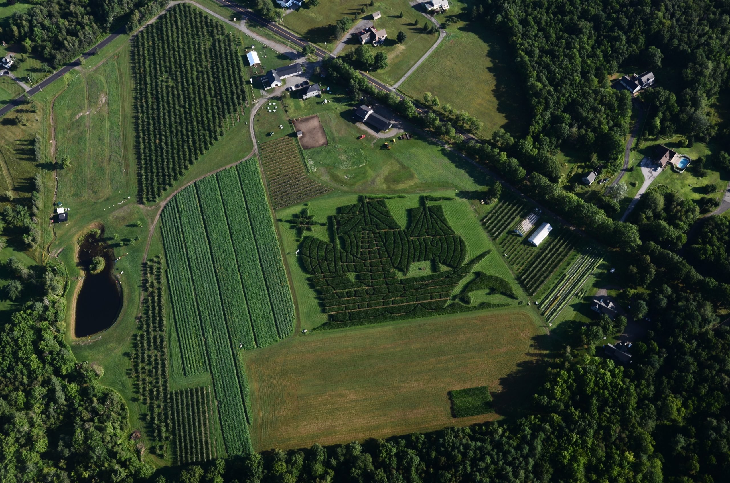 Le meilleur endroit pour aller cueillir des pommes dans chaque État 