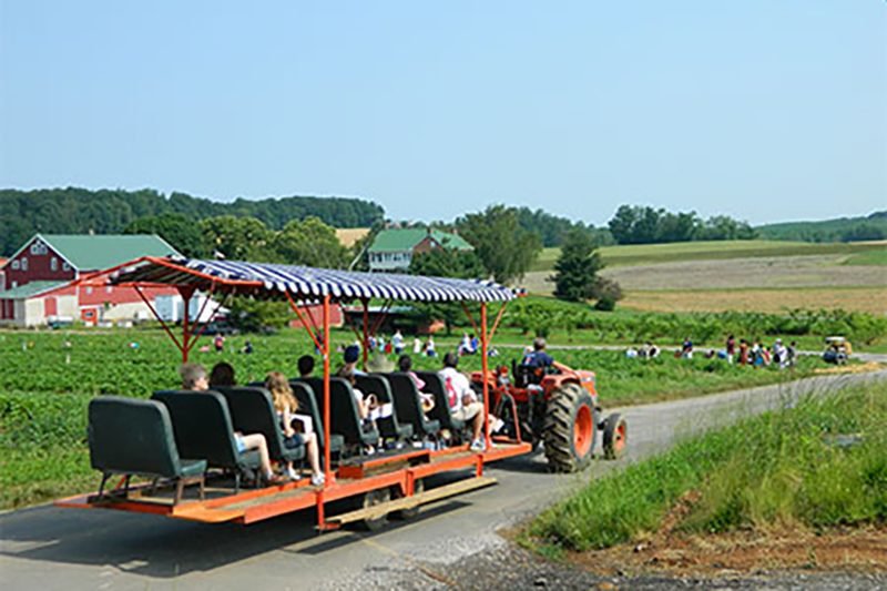 El mejor lugar para recoger manzanas en todos los estados