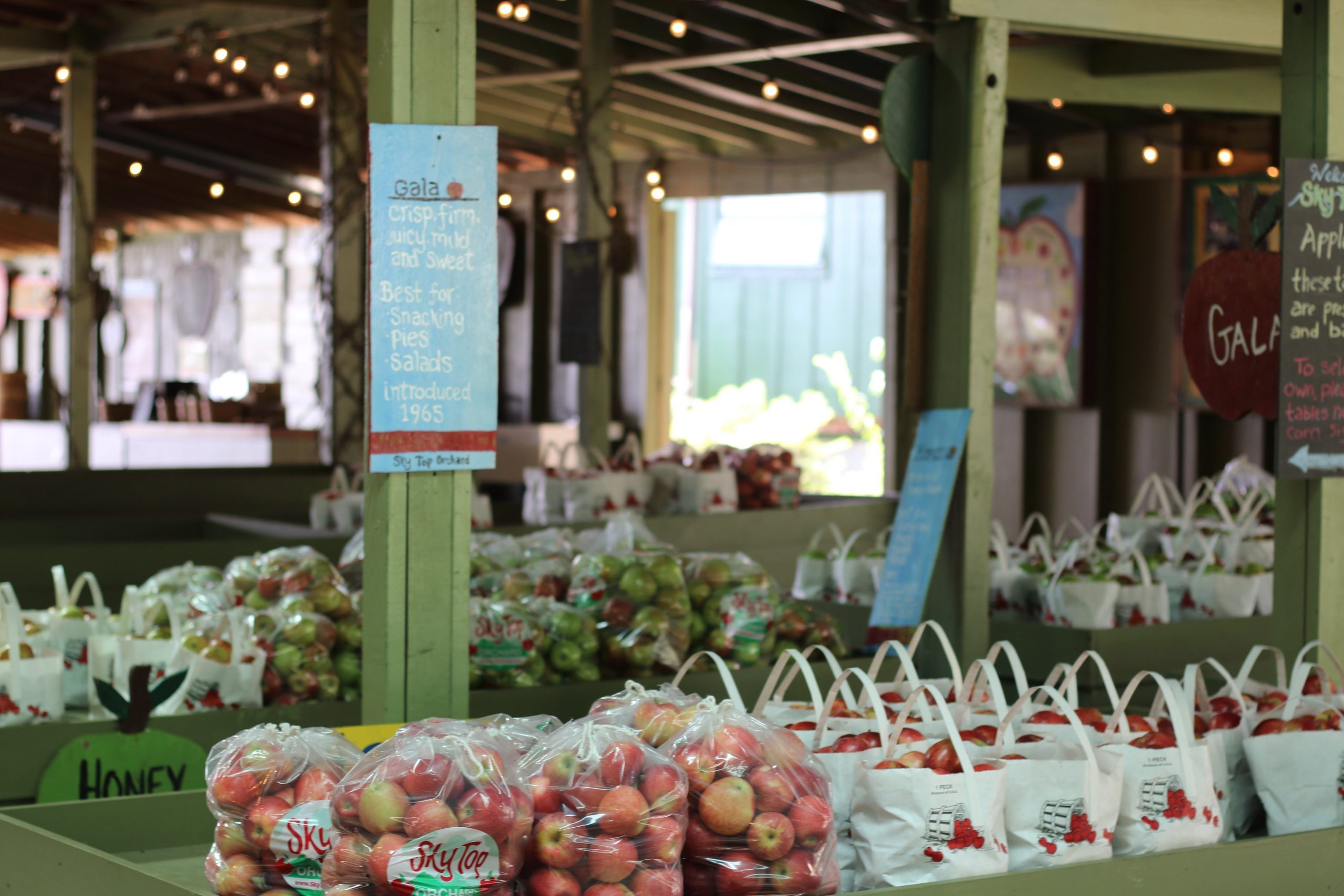 El mejor lugar para recoger manzanas en todos los estados 