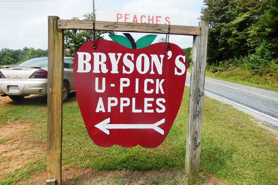 El mejor lugar para recoger manzanas en todos los estados 