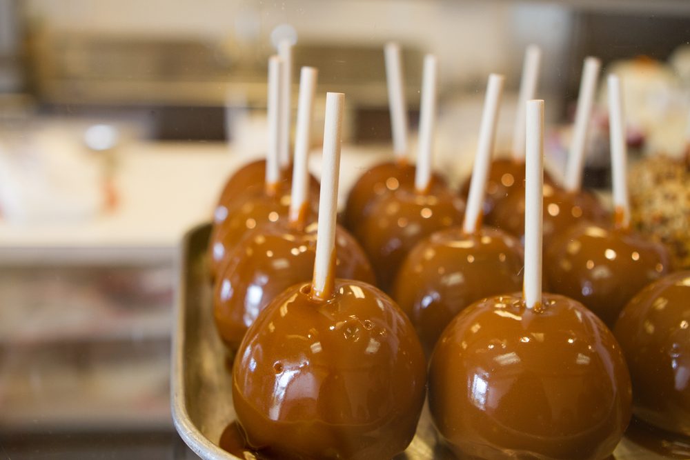 Le meilleur endroit pour aller cueillir des pommes dans chaque État 