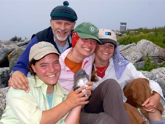 Ces photos parfaites des macareux du Maine vous donneront de l espoir pour la nature 