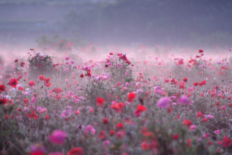 世界で最も素晴らしい風景のこれらの12のナショナルジオグラフィック写真は、あなたを不思議に満ちたものにします 