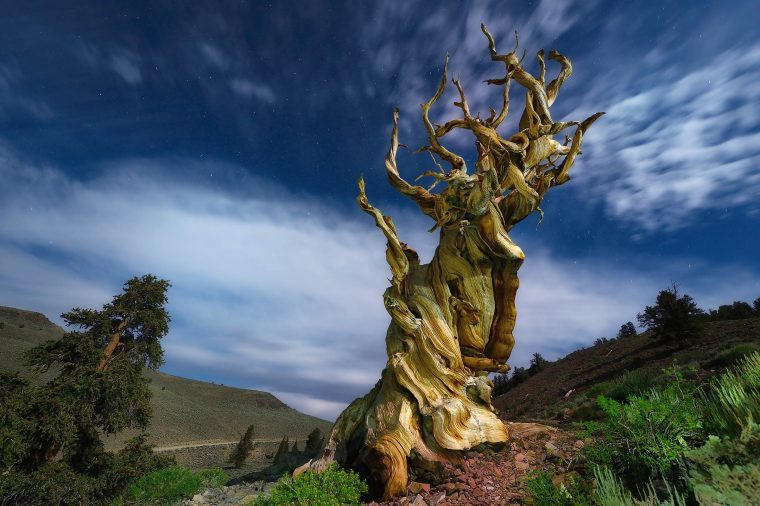 12 Foto National Geographic dari Lanskap Terbesar di Dunia Ini Akan Membuat Anda Terpesona 