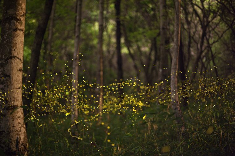 Ces 12 photos National Geographic des plus grands paysages du monde vont vous émerveiller 