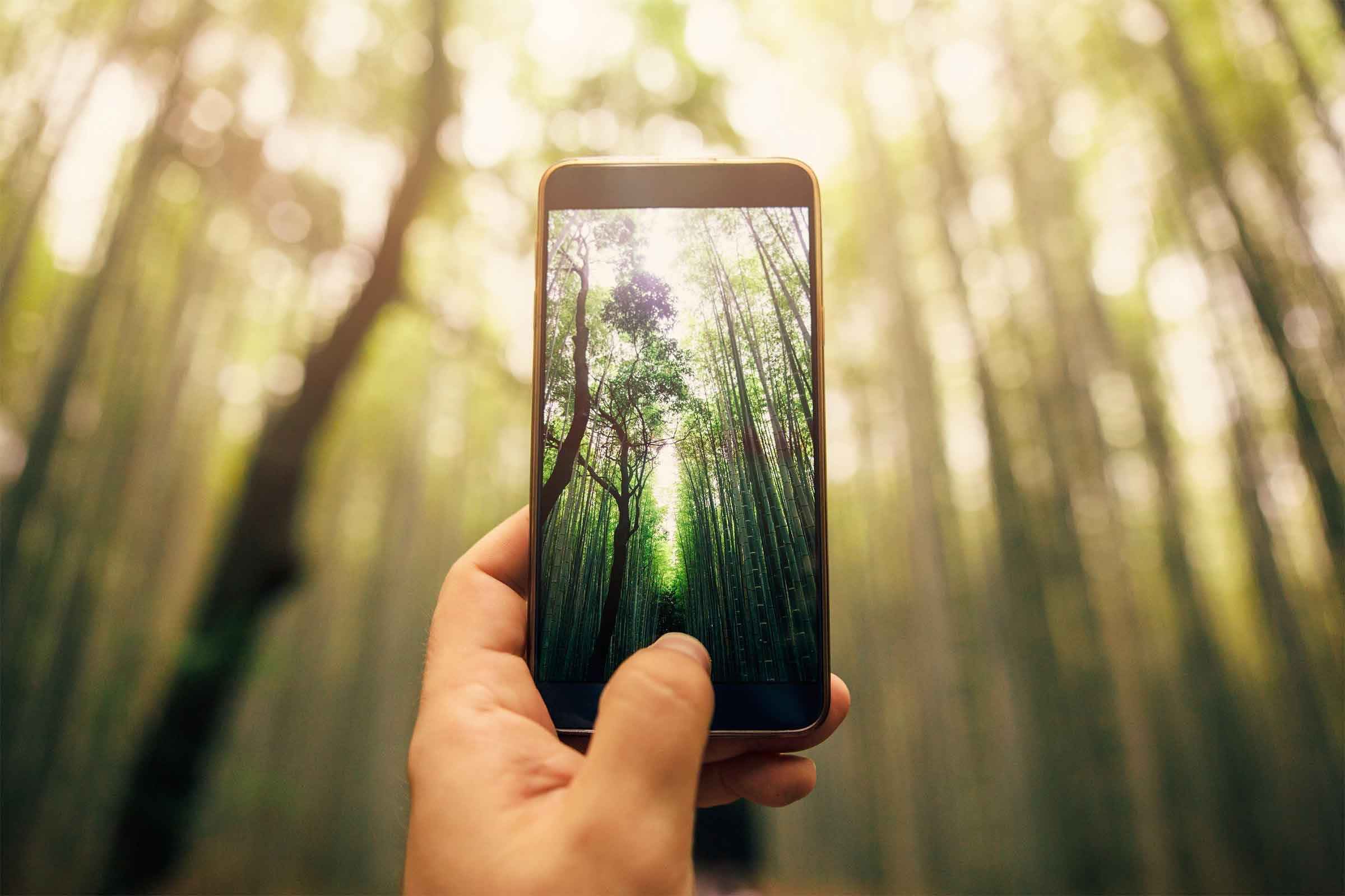 Trik Jenius untuk Mengambil Gambar Sempurna Kartu Pos di Smartphone Anda 