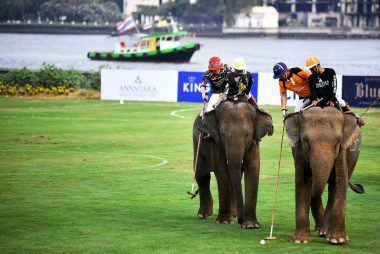 Bagaimana Elephant Polo Menyelamatkan Gajah—dan Anak-anak dengan Autisme 