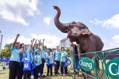 Cómo Elephant Polo está salvando a los elefantes y a los niños con autismo 