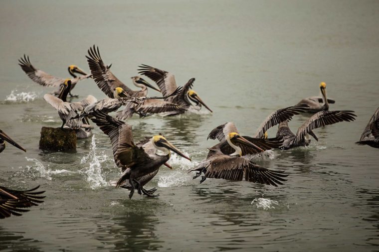 あなたのアメリカの最高を表す11の息を呑むほど美しい写真 