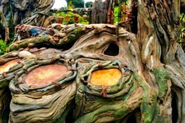 12 segreti segreti del nuovo parco mozzafiato di Walt Disney World:Pandora 