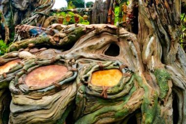 12 secretos internos del impresionante nuevo parque de Walt Disney World:Pandora 