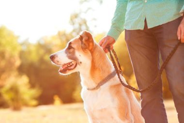 Sì, puoi guadagnare soldi extra mentre sei in vacanza. Ecco come 