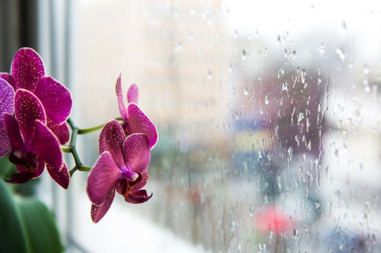 雷雨に巻き込まれないでください：安全で乾燥した状態を維持するための9つの方法 