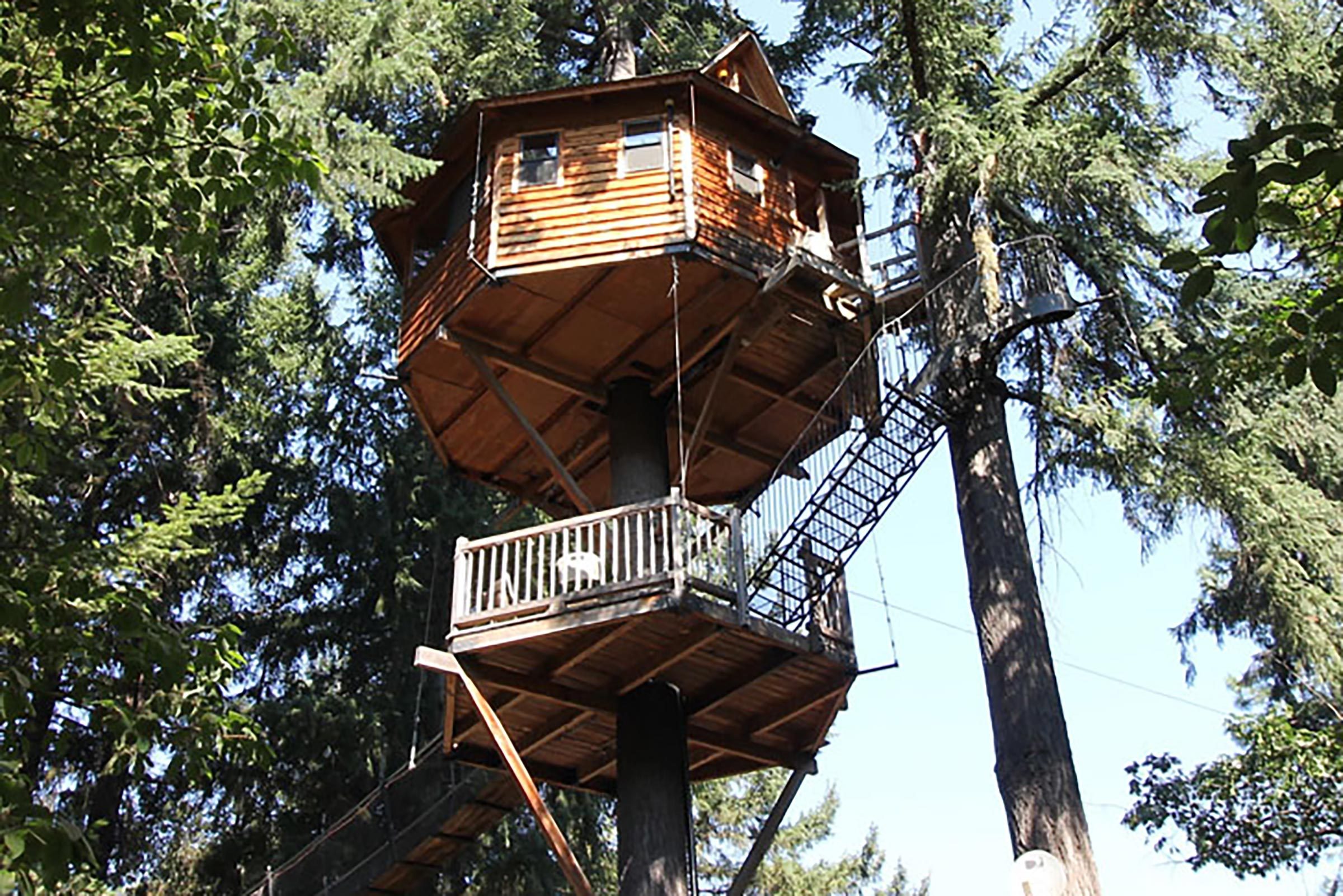 9 cabanes dans les arbres magiques et de rêve que vous pouvez totalement louer cet été, vraiment ! 