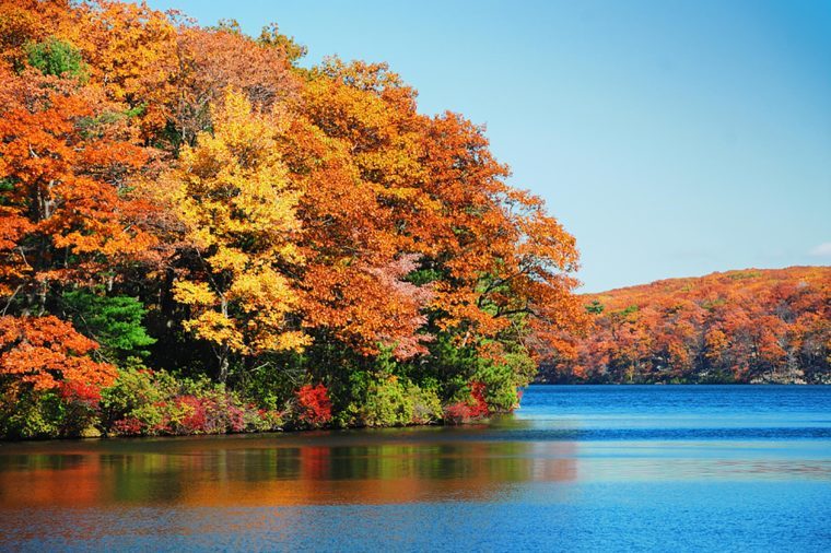 10 bonnes raisons pour lesquelles vous devez monter dans votre voiture et visiter les Catskills 