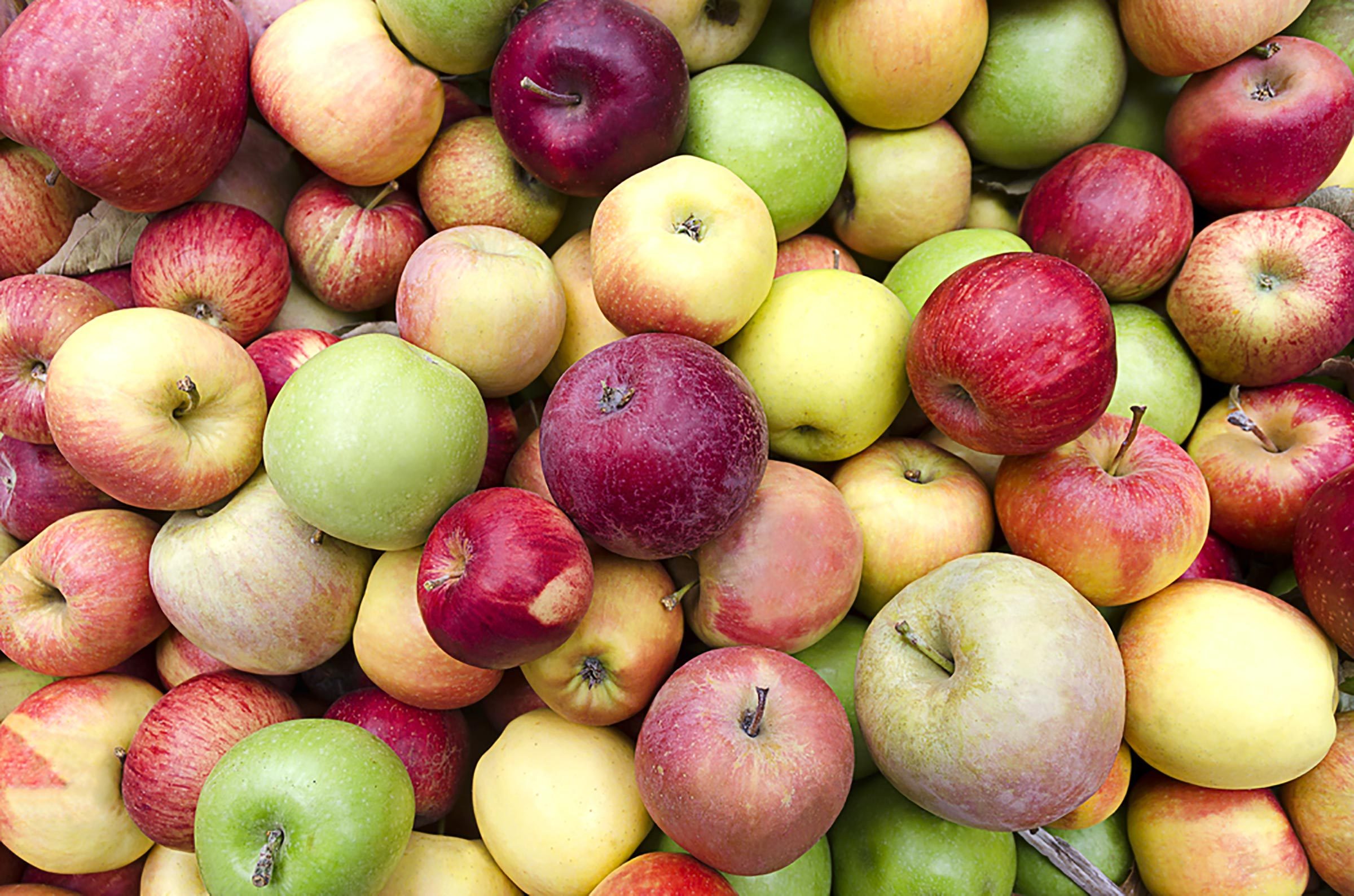 La bonne façon de choisir une pomme et 8 autres choses à savoir avant de choisir une pomme 