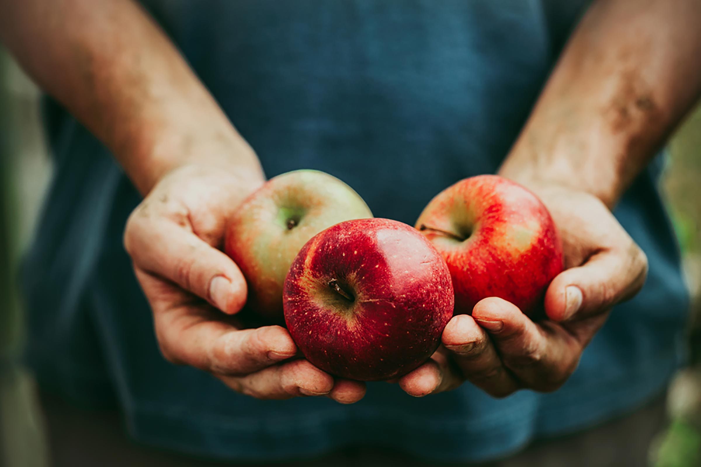 Il modo giusto per scegliere una mela e 8 altre cose da sapere prima di iniziare a scegliere la mela 