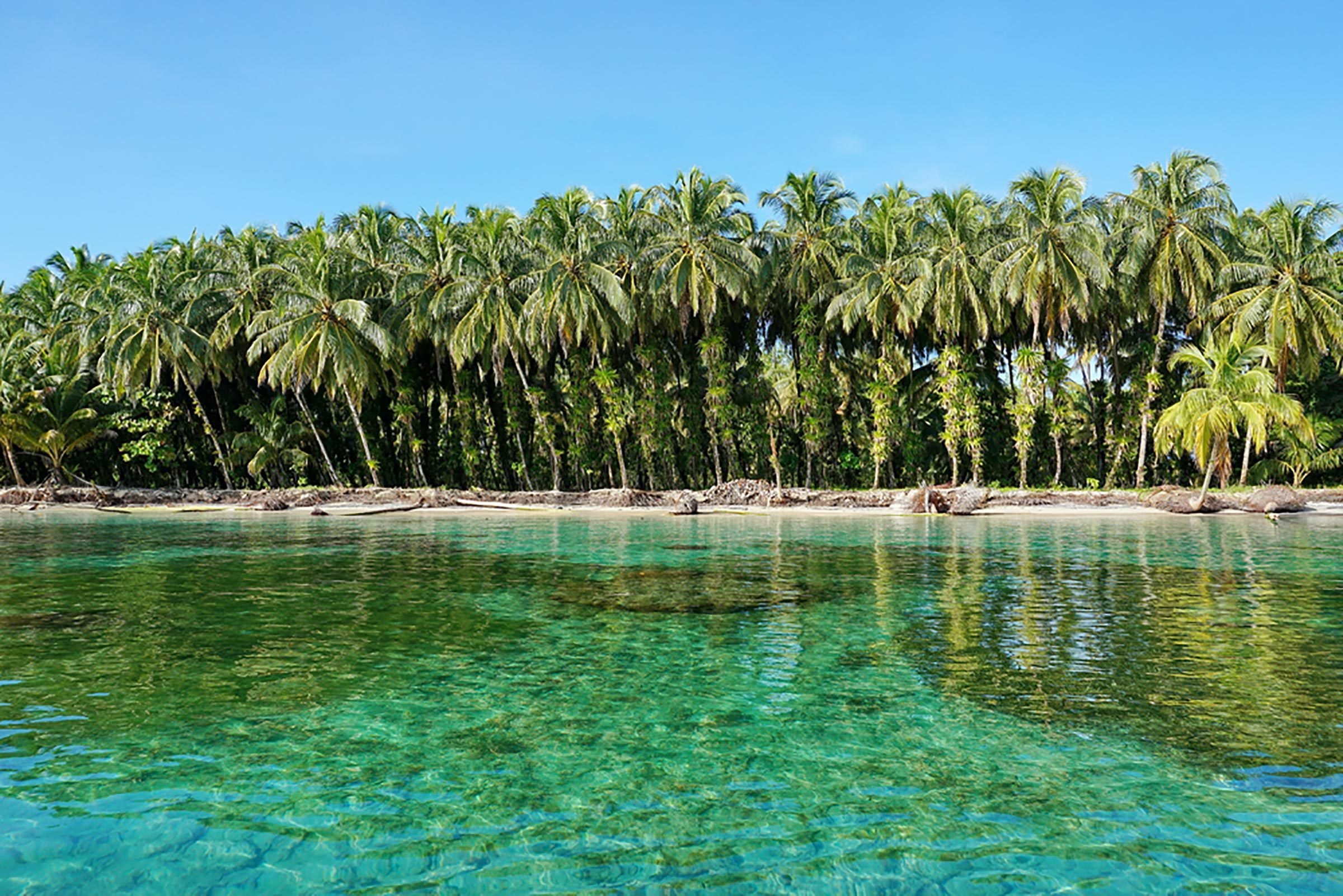 8 islas soleadas que puedes reservar para Navidad (sí, islas privadas también) 