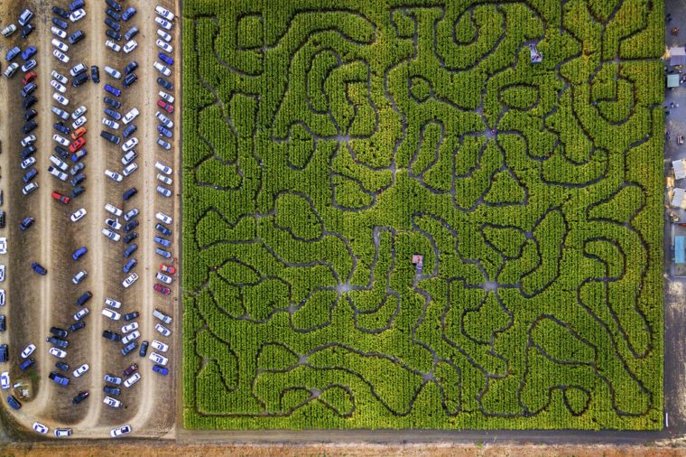 9 des labyrinthes les plus impressionnants que vous trouverez dans le monde 