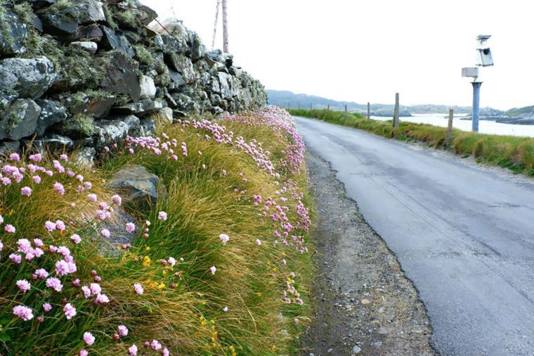 今年の旅行を計画しているアイルランドの島々の11枚の素晴らしい写真 