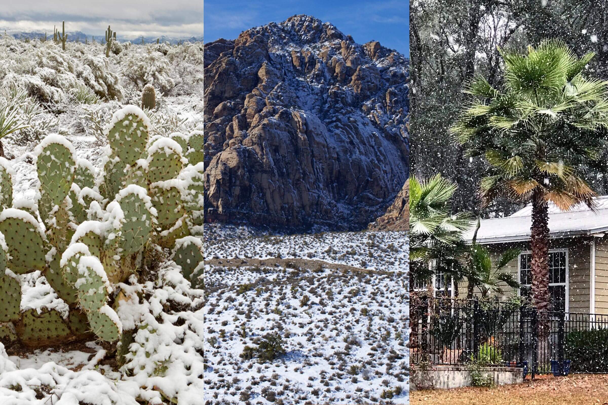 8 posti sorprendenti che non crederesti mai che sia nevicato 