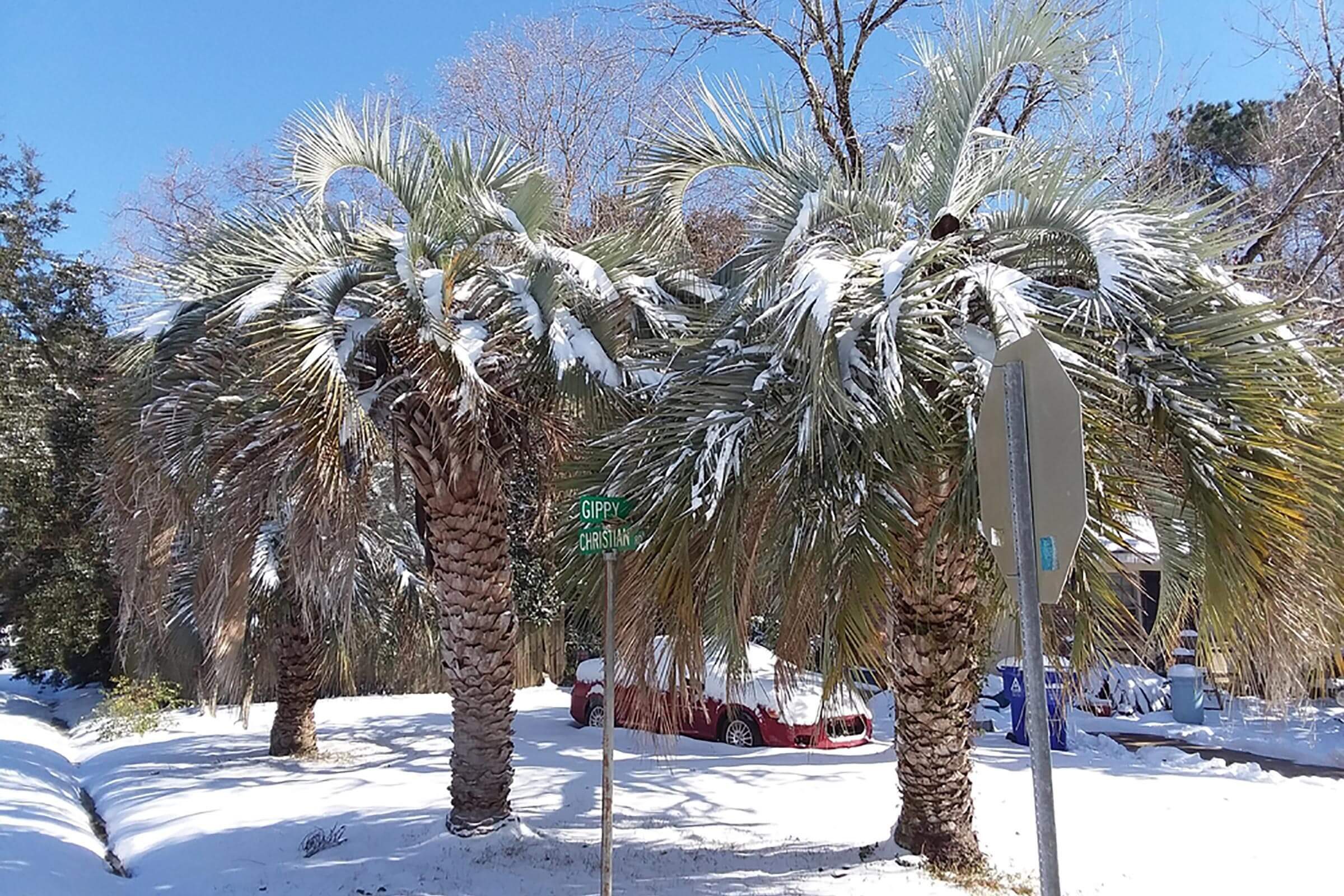 8 posti sorprendenti che non crederesti mai che sia nevicato 