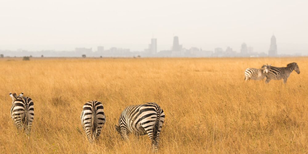 Los destinos de viaje más populares en África 