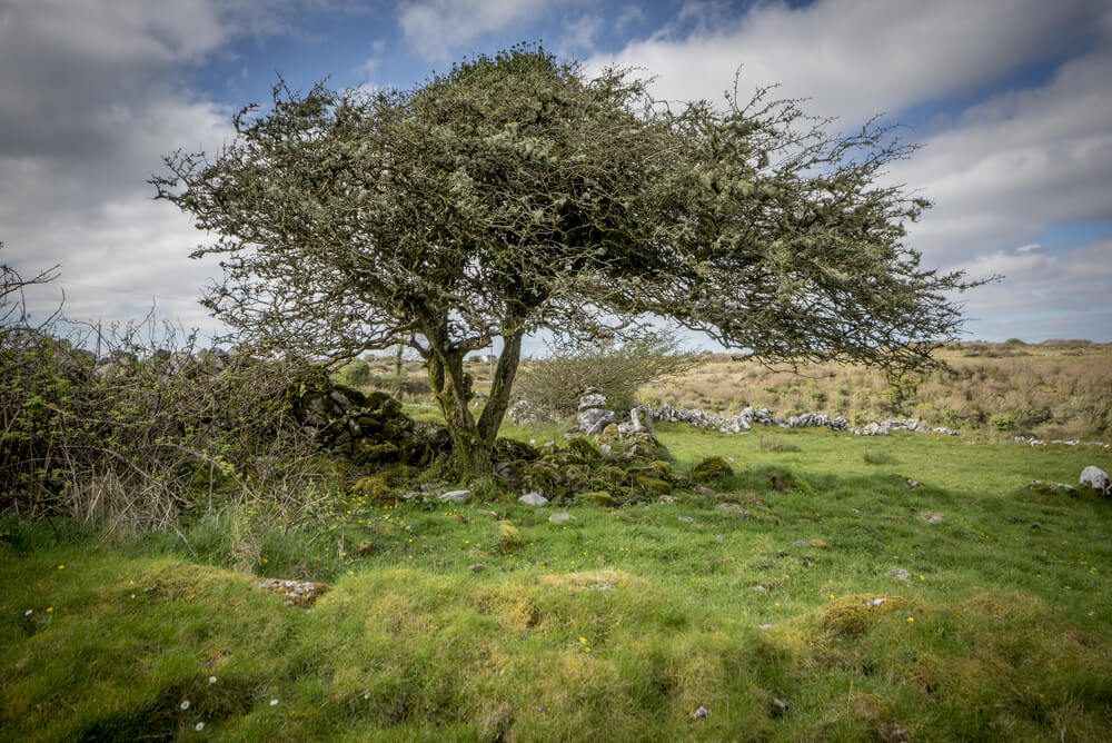 Os 15 locais mais misteriosos da Irlanda 