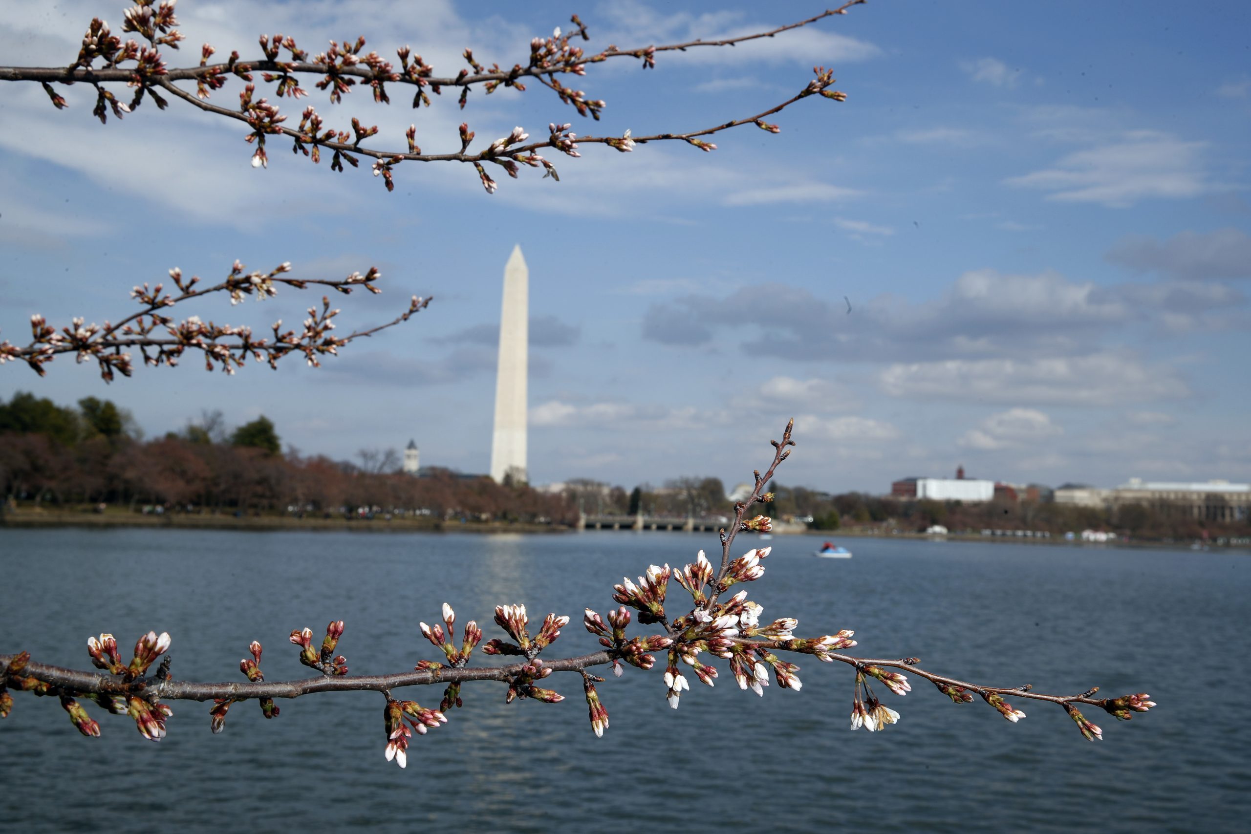 15 fatti che non hai mai saputo sul Monumento a Washington 