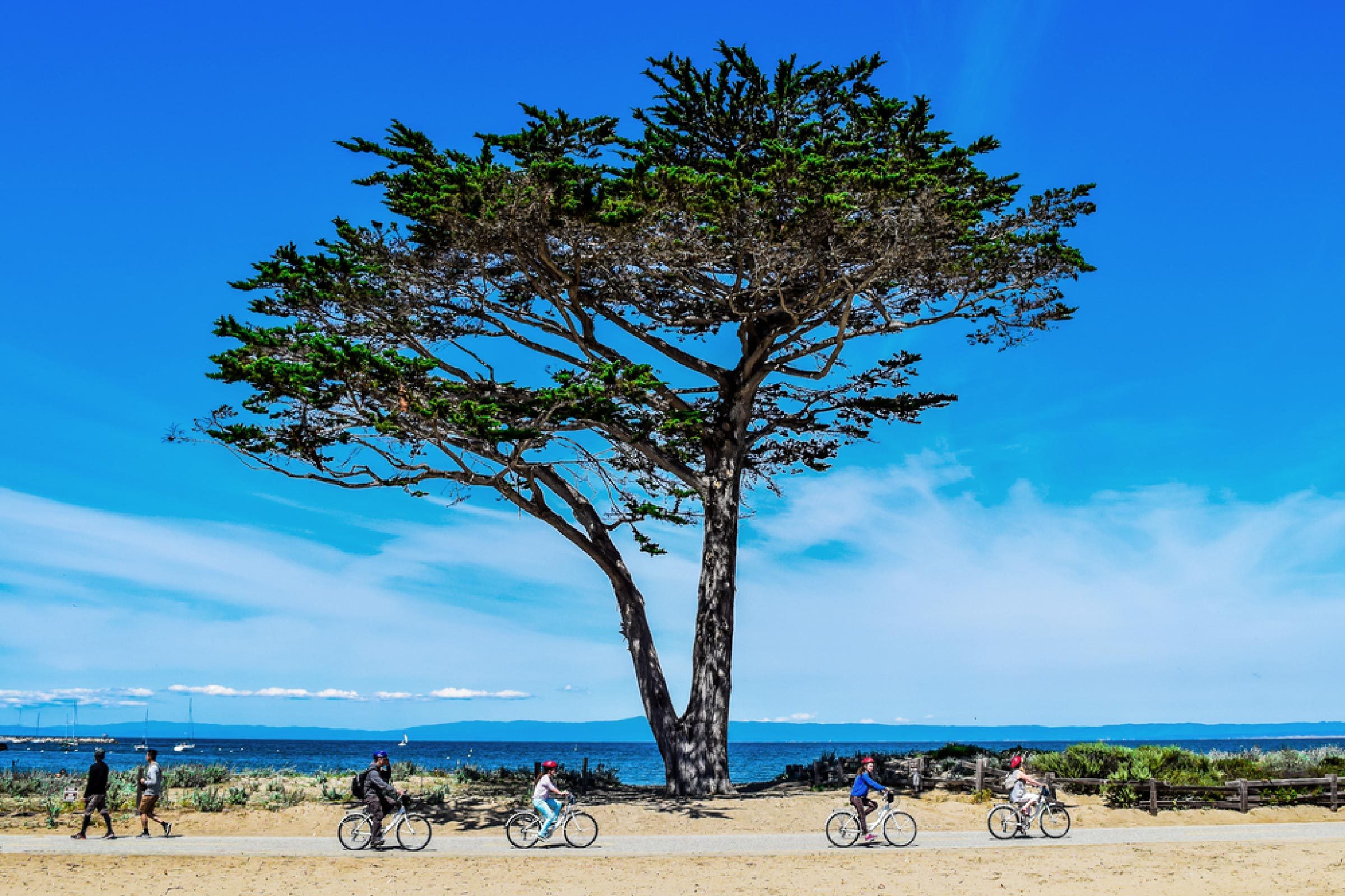 As trilhas de bicicleta dos EUA com as melhores vistas 