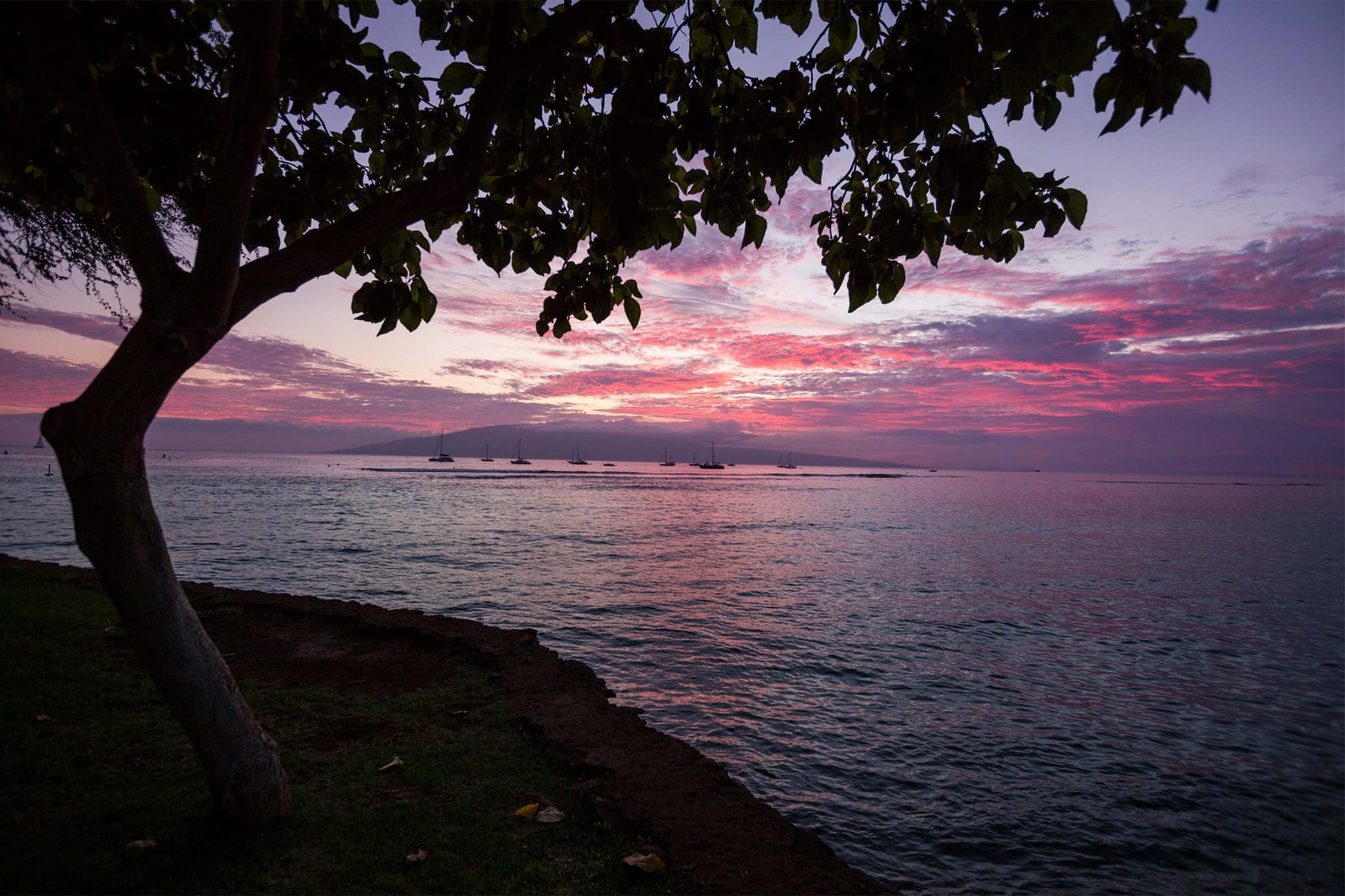 Cette île secrète est peut-être l endroit le plus romantique des États-Unis 